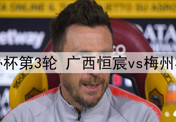 05月20日 足协杯第3轮 广西恒宸vs梅州客家 全场录像