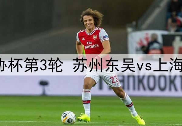 2024年5月21日 足协杯第3轮 苏州东吴vs上海海港 全场录像回放